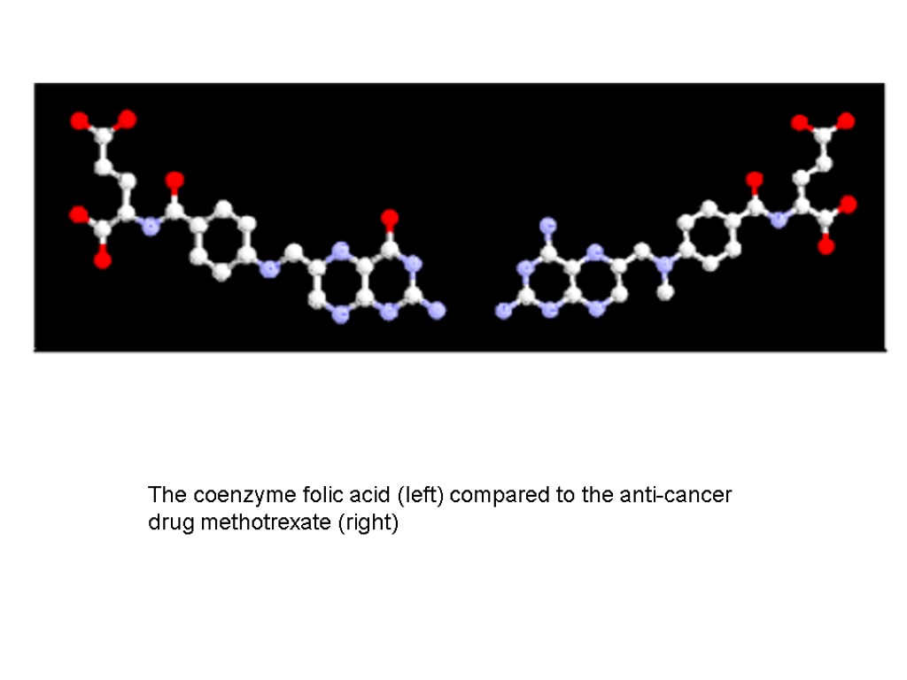 The coenzyme folic acid (left) compared to the anti-cancer drug methotrexate (right)